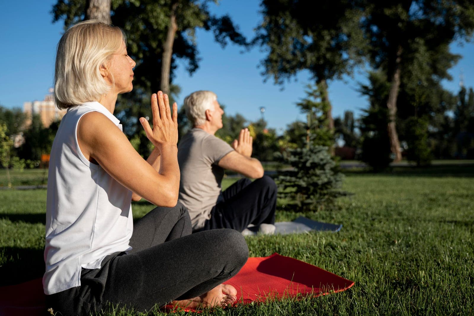 Casal de idosos praticando yoga ao ar livre em parque, em momento de relaxamento e movimento consciente